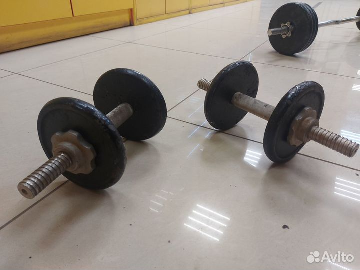 Гантели + изогнутый гриф Torneo + блины 40 кг
