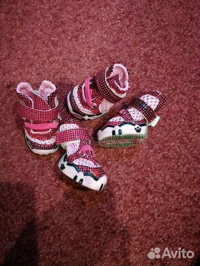 Обувь для собаки мелкой породы. Размер 1.кеды,крос