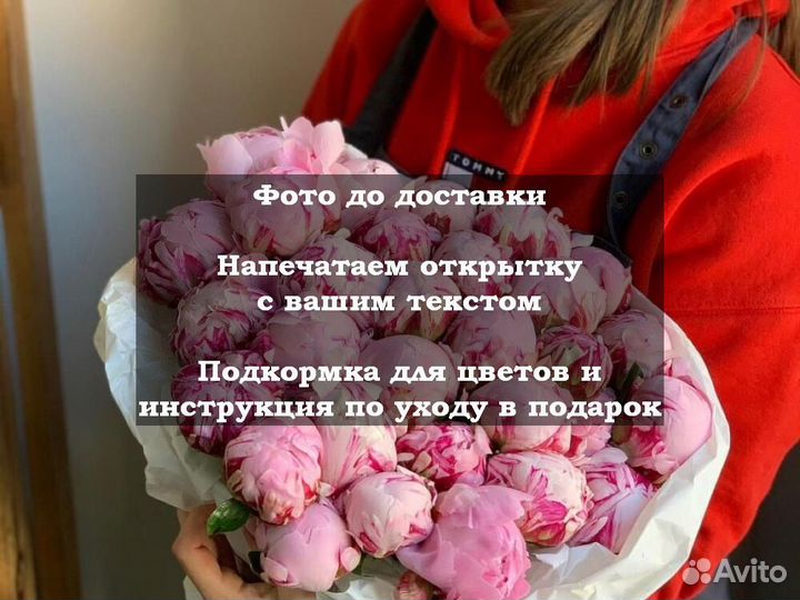 Разноцветные пионы