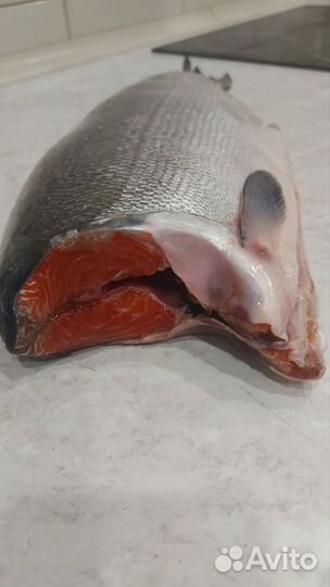 Нерка дикая