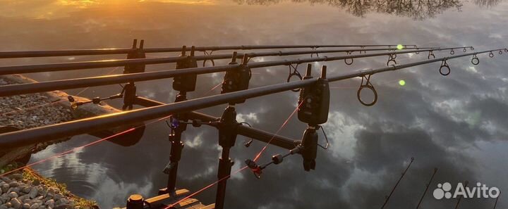 Сигнализаторы поклевки Carp pro Q5 4+1