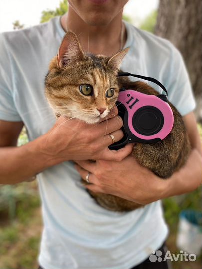 Поводок рулетка для собак и кошек 5м и 3м