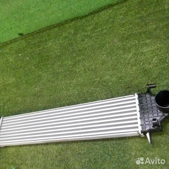 Интеркулер Хавэйл Джолион (2021-Н.В.)