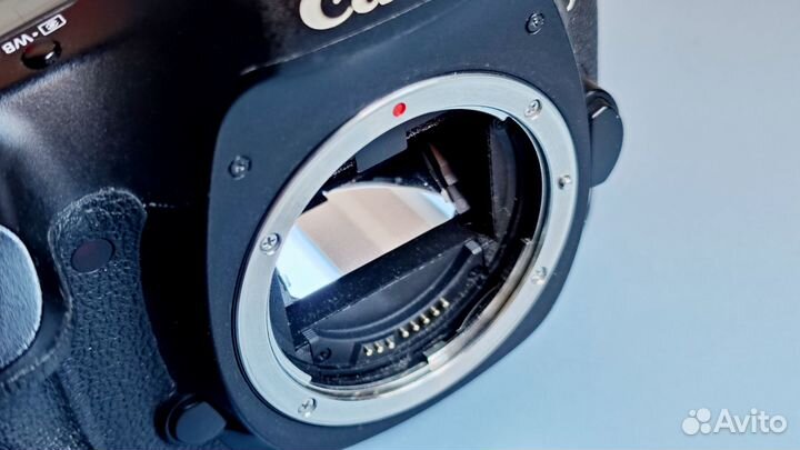 Canon EOS 5D Mark III body