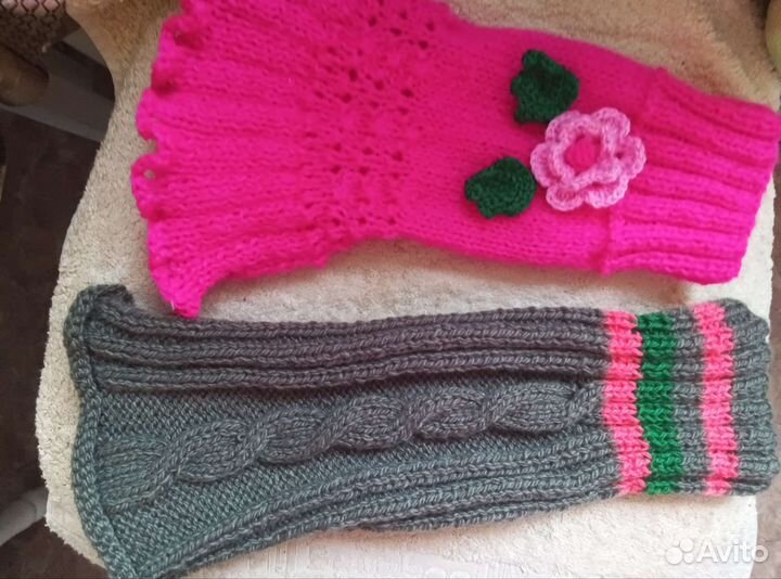 Одежда для собак