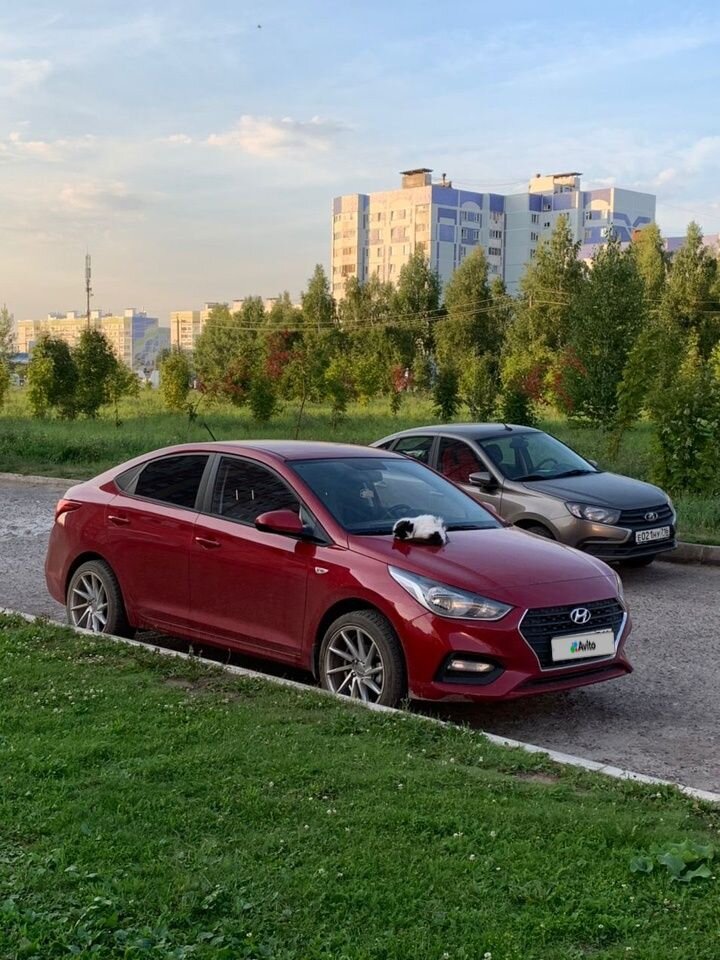 Hyundai Solaris: фото владельца