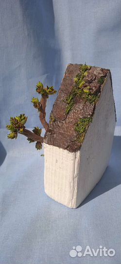 Декоративный домик (дрифтвуд)