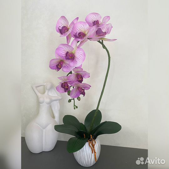 Орхидея в кашпо