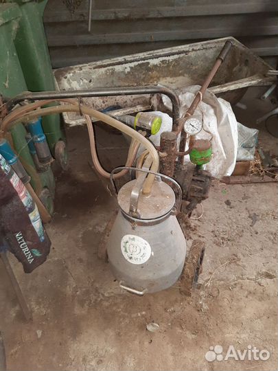 Доильный аппарат