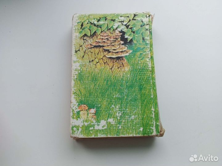 Книга Бемби