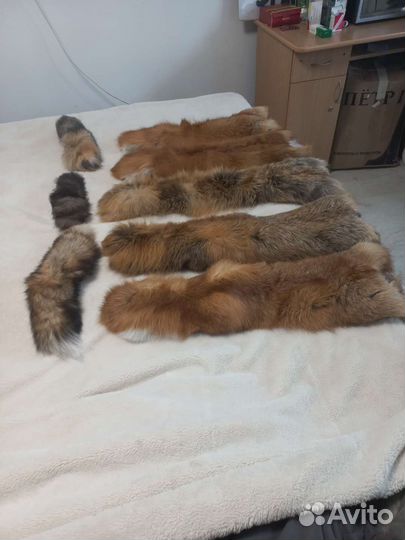 Шкуры рыжей лисы