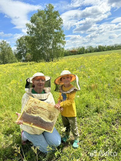 Мед с орехами и ягодами
