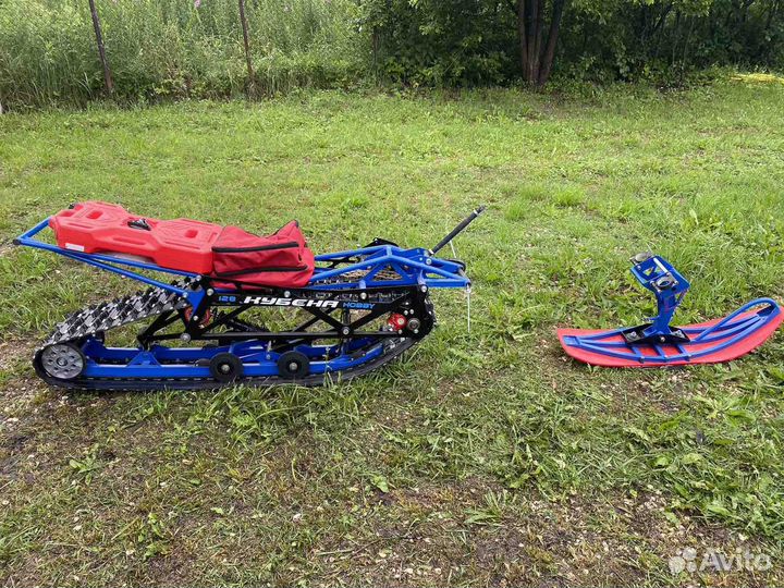 Гусянка Кубена hobby