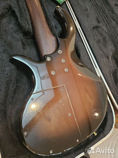 Elrick gold evolution 5