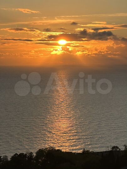 Квартира-студия, 31,6 м², 23/25 эт.