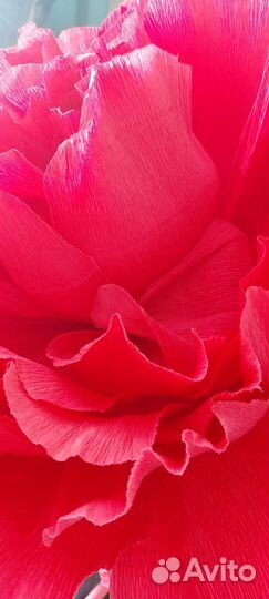 Роза самодельная Гигант