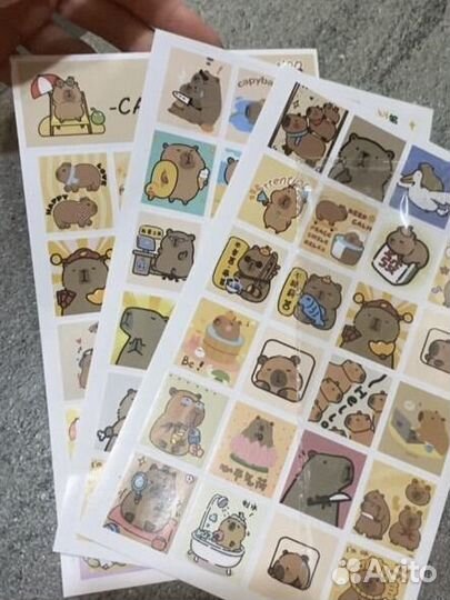 Стикеры капибара