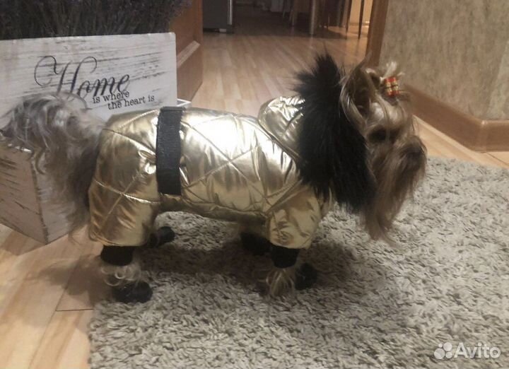 Зимний комбинезон новый