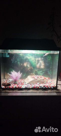 Аквариум