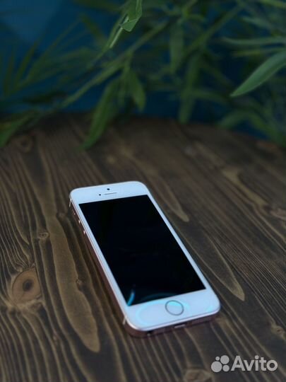 iPhone SE, 16 ГБ