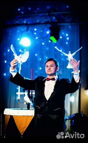 Фокусник, Иллюзионист, Ведущий мероприятий