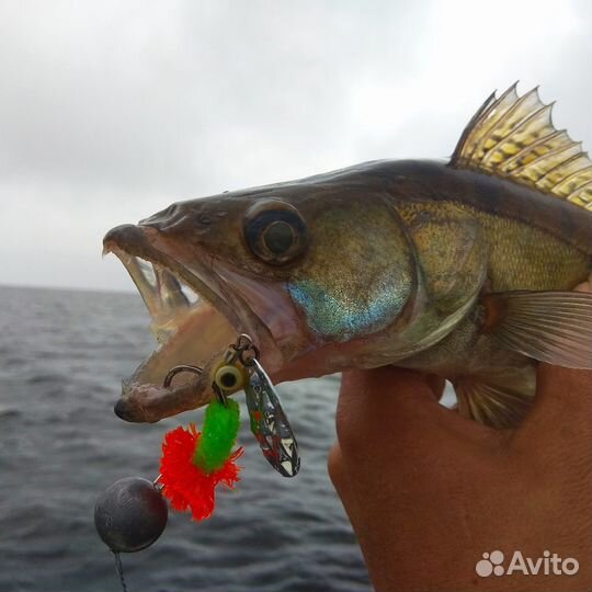 Тейл спиннер 