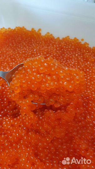 Красная икра кета