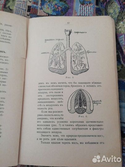 Книга Ольга Лобанова 1915г