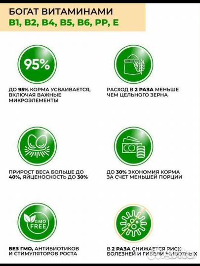 Корма для животных