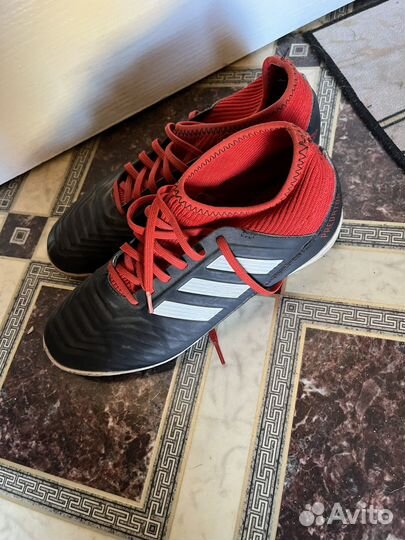 Футзалки adidas predator