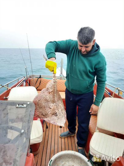 Морская прогулка рыбалка аренда катера