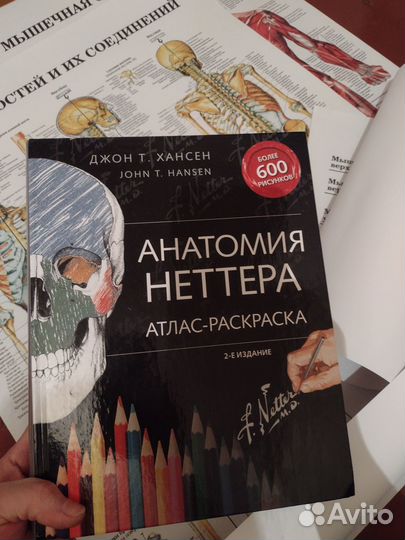 Книга анатомия неттера атлас раскраска и Плакаты