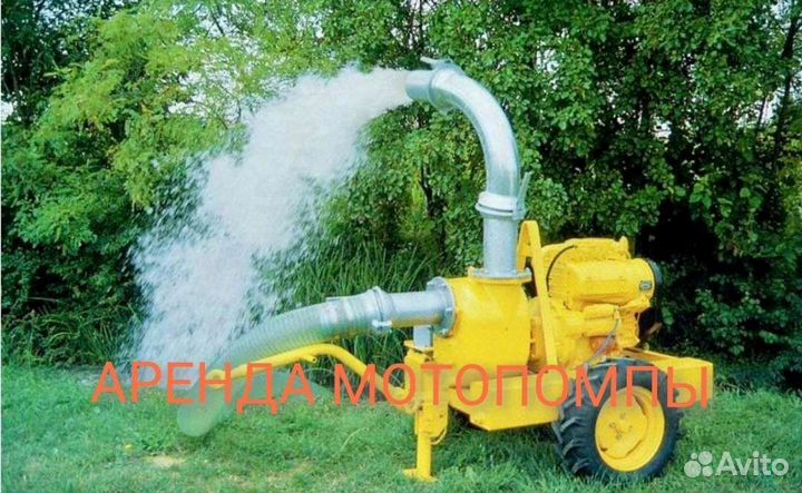 Аренда мотопомп вариско мощный насос