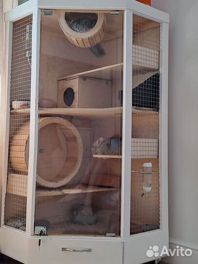 Клетка для шиншилл