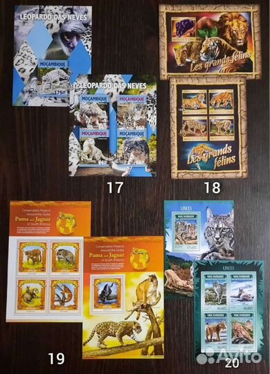 Коллекция фауна Кошки 2 (чистые )