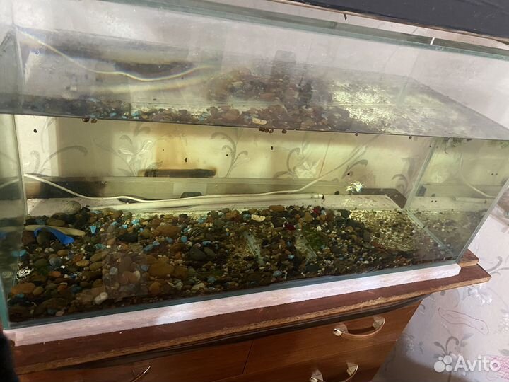 Аквариум на 120 литров