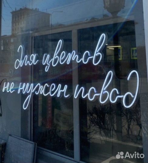 101 Роза букеты Цветы 51 доставка 24/7