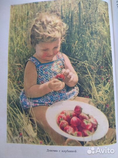 Книга Домоводство 1957 г СССР