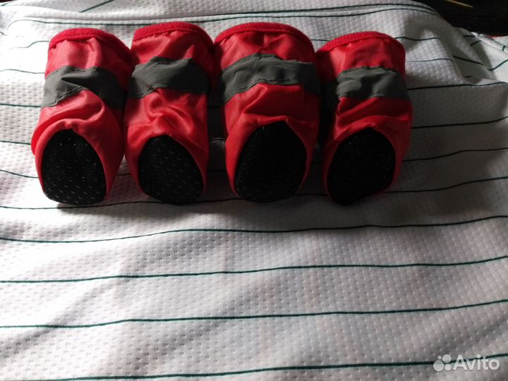 Ботинки для собак