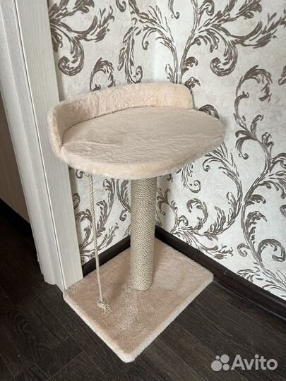 Когтеточка для кошек