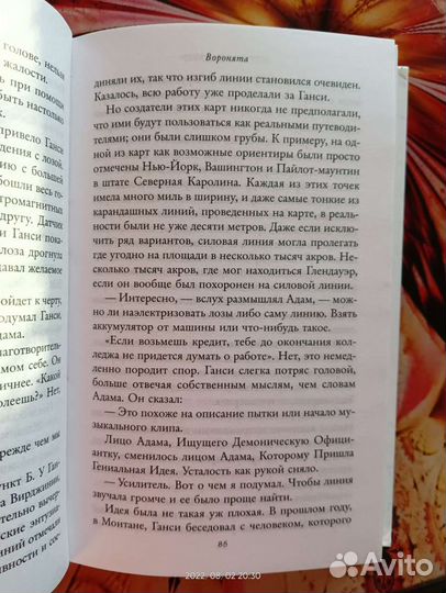 Мэгги Стивотер Воронята