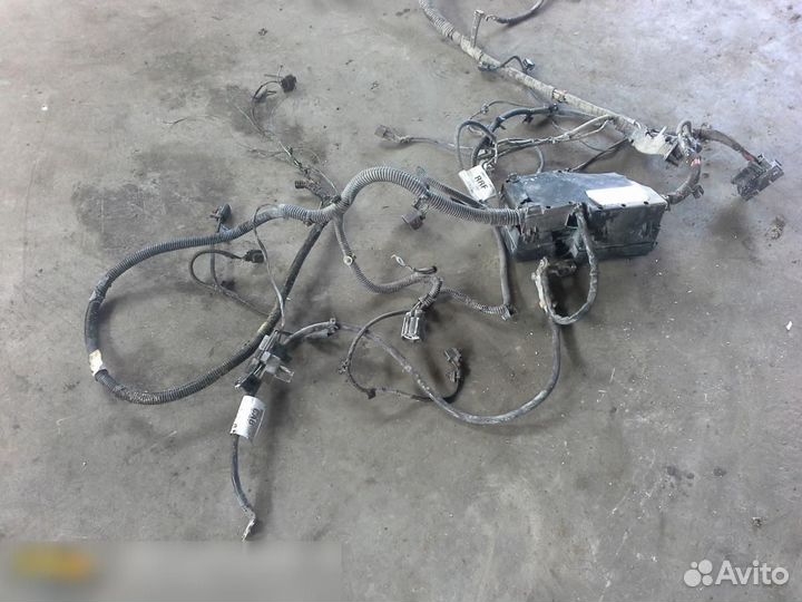 Проводка (коса) Ford Focus II 2005-2008