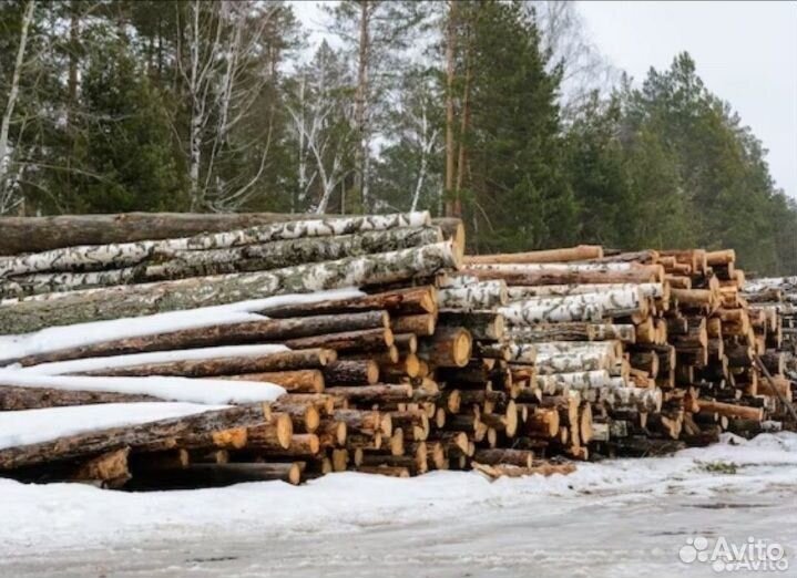 Лес- кругляк