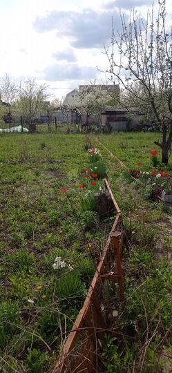 Дача 40 м² на участке 8 сот.