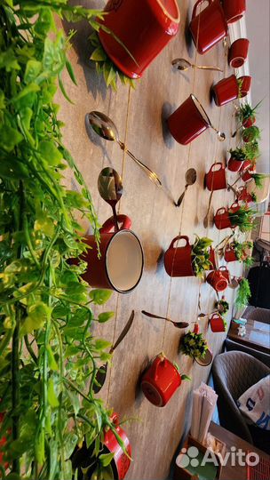 Кафе +доставка суши