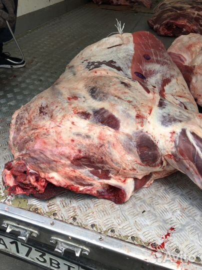 Говядина охлаженная быки шейные в полутушах