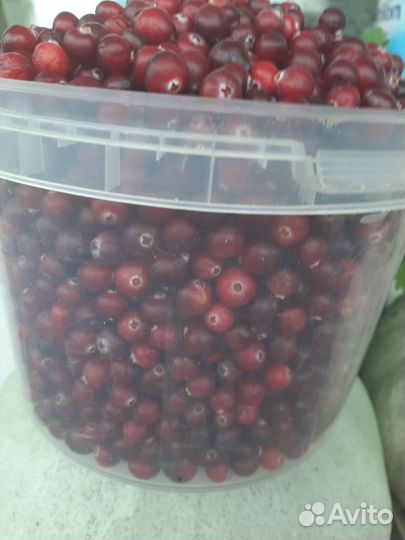 Ягоды и варенье