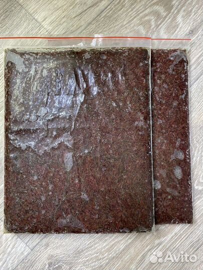 Артемия / Мотыль заморозка