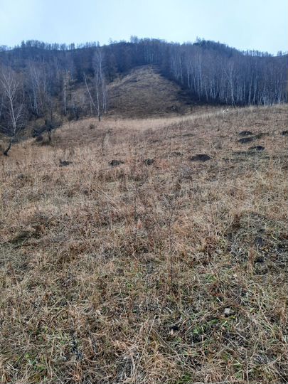 Участок 3,5 га (СНТ, ДНП)