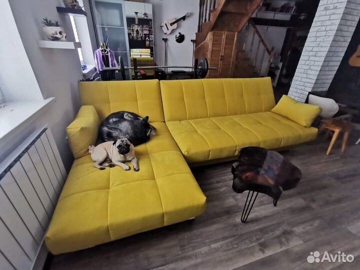 Передержка собак